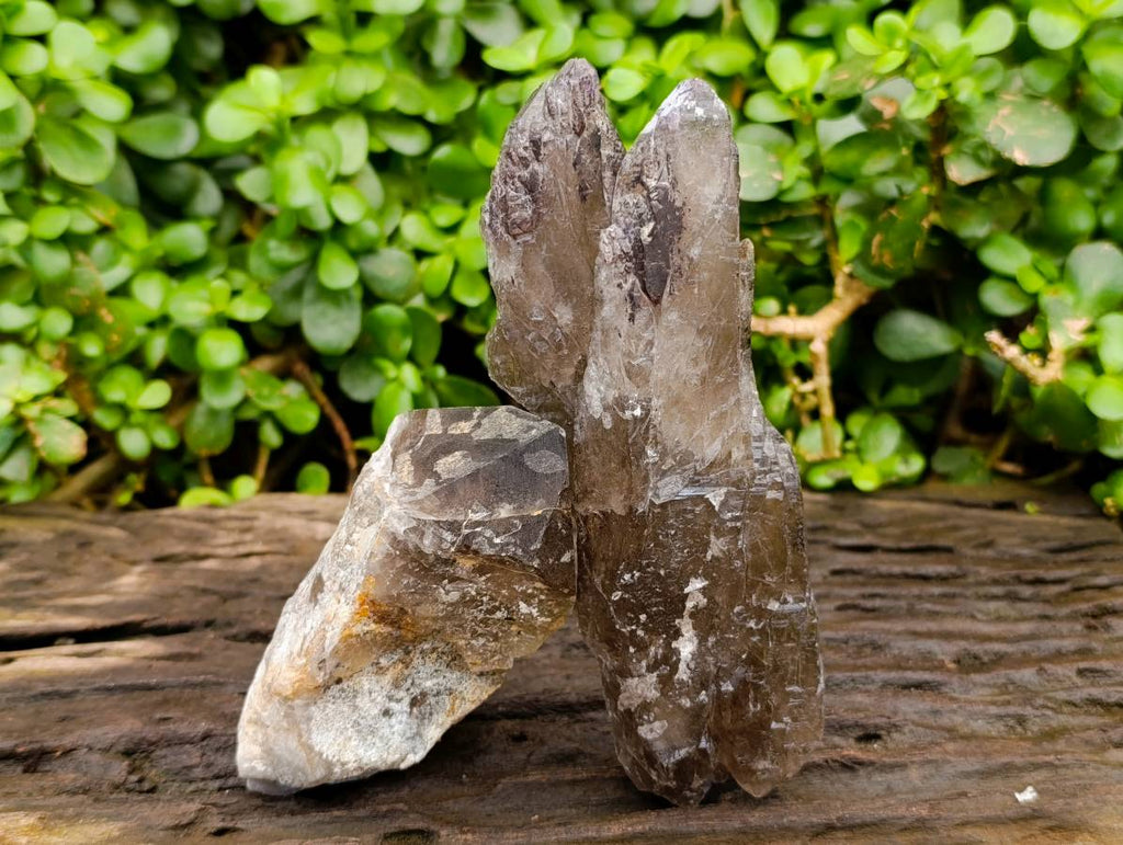 Natural Smokey Quartz Crystals x 6 From Mulanje, Malawi - Toprock Gemstones and Minerals 