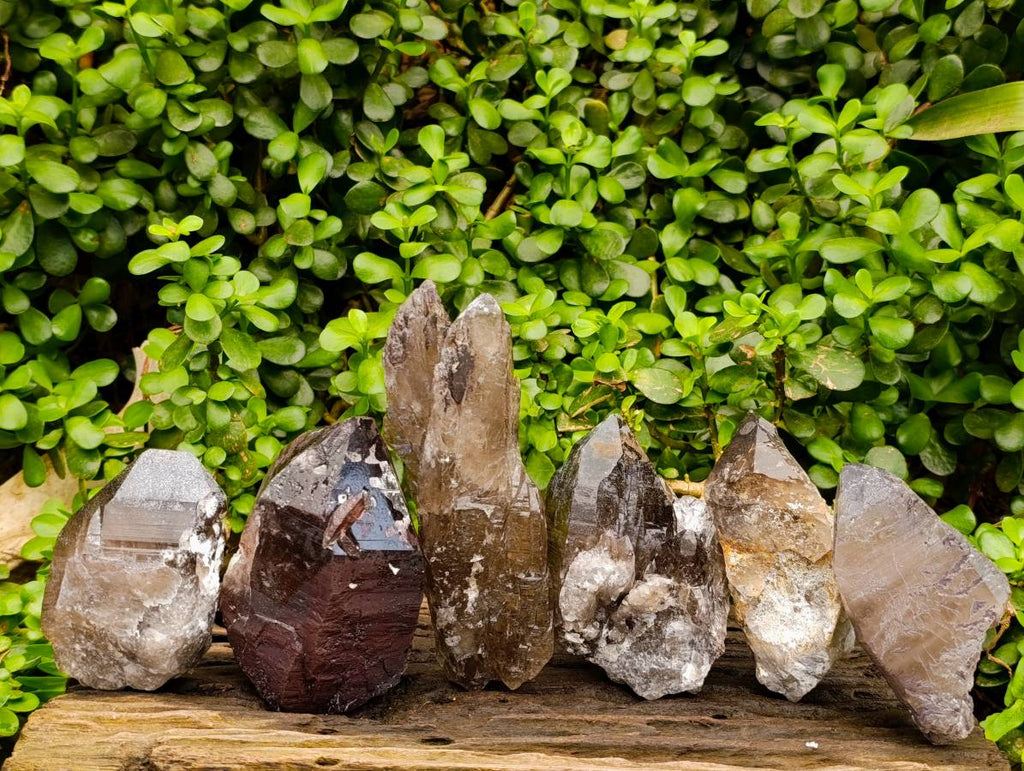Natural Smokey Quartz Crystals x 6 From Mulanje, Malawi - Toprock Gemstones and Minerals 