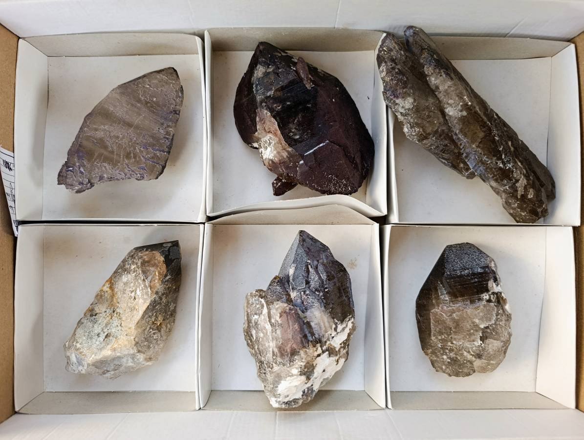 Natural Smokey Quartz Crystals x 6 From Mulanje, Malawi - Toprock Gemstones and Minerals 