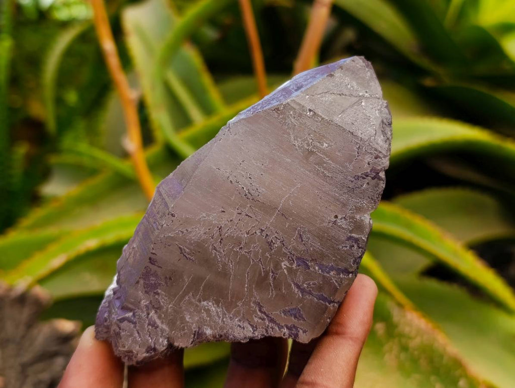 Natural Smokey Quartz Crystals x 6 From Mulanje, Malawi - Toprock Gemstones and Minerals 