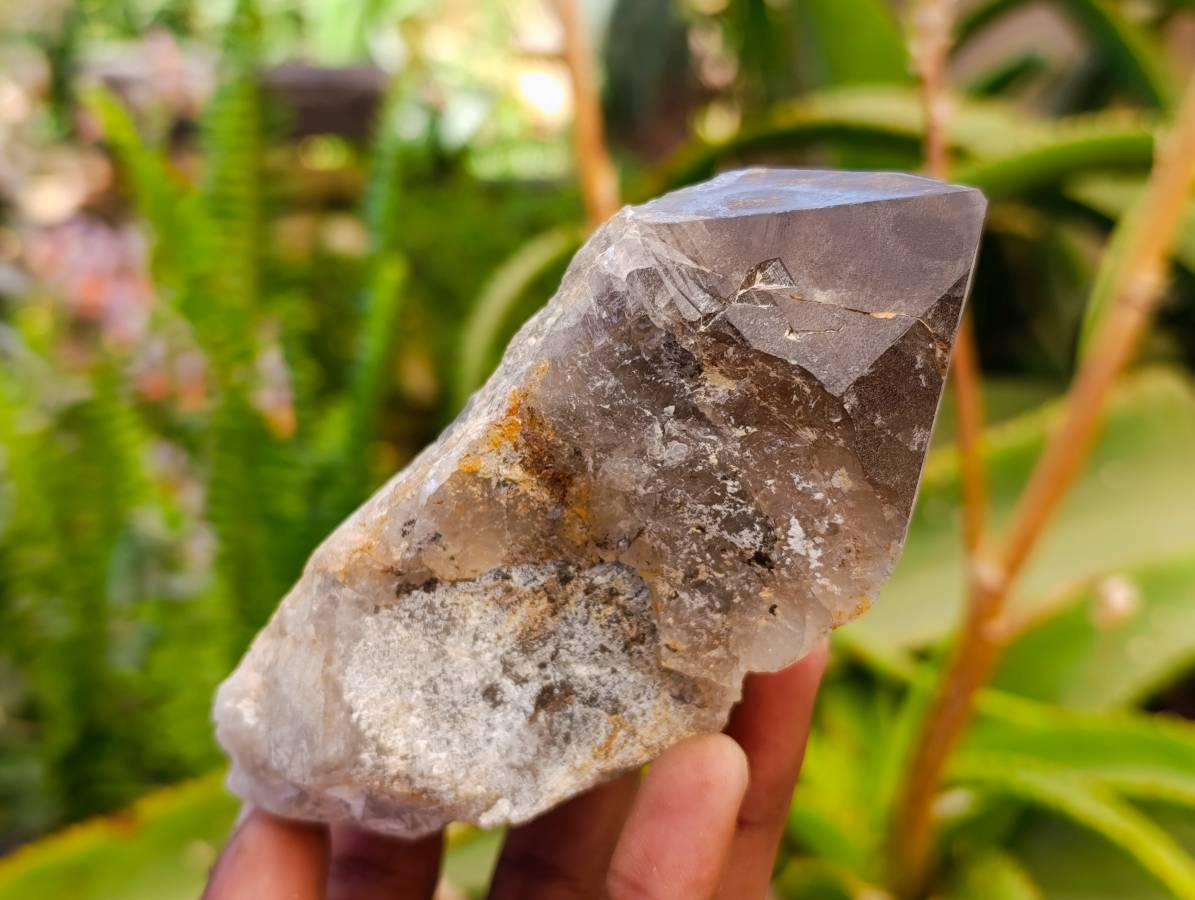 Natural Smokey Quartz Crystals x 6 From Mulanje, Malawi - Toprock Gemstones and Minerals 