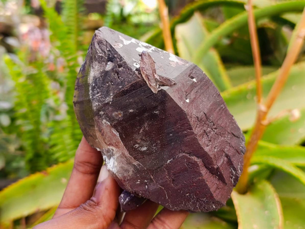 Natural Smokey Quartz Crystals x 6 From Mulanje, Malawi - Toprock Gemstones and Minerals 