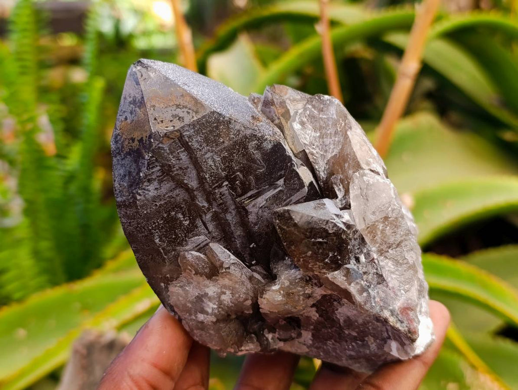 Natural Smokey Quartz Crystals x 6 From Mulanje, Malawi - Toprock Gemstones and Minerals 