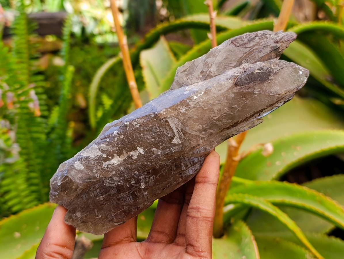 Natural Smokey Quartz Crystals x 6 From Mulanje, Malawi - Toprock Gemstones and Minerals 