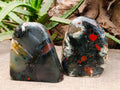 Polished Bloodstone Standing Free Forms x 2 From Swaziland - Toprock Gemstones and Minerals 