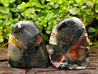 Polished Bloodstone Standing Free Forms x 2 From Swaziland - Toprock Gemstones and Minerals 