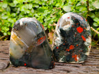 Polished Bloodstone Standing Free Forms x 2 From Swaziland - Toprock Gemstones and Minerals 
