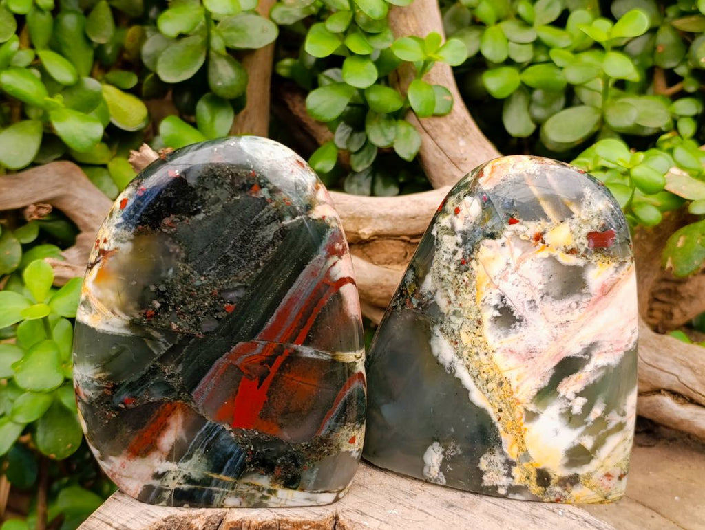 Polished Bloodstone Standing Free Forms x 2 From Swaziland - Toprock Gemstones and Minerals 
