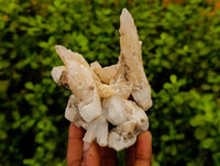 Natural Drusy Quartz Coated Calcite Pseudomorph Specimens x 3 From Alberts Mountain, Lesotho - Toprock Gemstones and Minerals 
