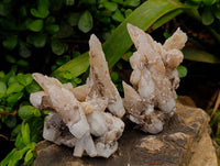 Natural Drusy Quartz Coated Calcite Pseudomorph Specimens x 3 From Alberts Mountain, Lesotho - Toprock Gemstones and Minerals 