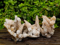 Natural Drusy Quartz Coated Calcite Pseudomorph Specimens x 3 From Alberts Mountain, Lesotho - Toprock Gemstones and Minerals 