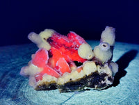 Natural Drusy Quartz Coated Calcite Pseudomorph Specimens x 3 From Alberts Mountain, Lesotho - Toprock Gemstones and Minerals 