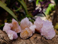 Natural Amethyst Spirit Quartz Crystals x 70 From Boekenhouthoek, South Africa - Toprock Gemstones and Minerals 