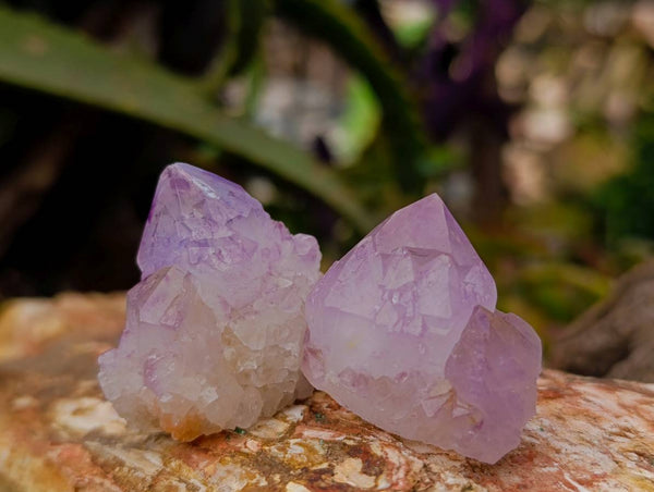 Natural Amethyst Spirit Quartz Crystals x 70 From Boekenhouthoek, South Africa - Toprock Gemstones and Minerals 