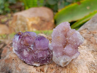 Natural Amethyst Spirit Quartz Crystals x 70 From Boekenhouthoek, South Africa - Toprock Gemstones and Minerals 