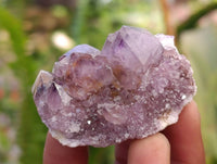 Natural Amethyst Spirit Quartz Crystals x 70 From Boekenhouthoek, South Africa - Toprock Gemstones and Minerals 