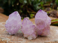 Natural Amethyst Spirit Quartz Crystals x 70 From Boekenhouthoek, South Africa - Toprock Gemstones and Minerals 