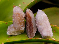 Natural Amethyst Spirit Quartz Crystals x 70 From Boekenhouthoek, South Africa - Toprock Gemstones and Minerals 
