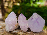 Natural Amethyst Spirit Quartz Crystals x 70 From Boekenhouthoek, South Africa - Toprock Gemstones and Minerals 