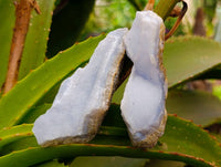Natural Blue Lace Agate Geode Specimens x 12 From Nsanje, Malawi