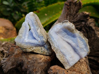 Natural Blue Lace Agate Geode Specimens x 12 From Nsanje, Malawi