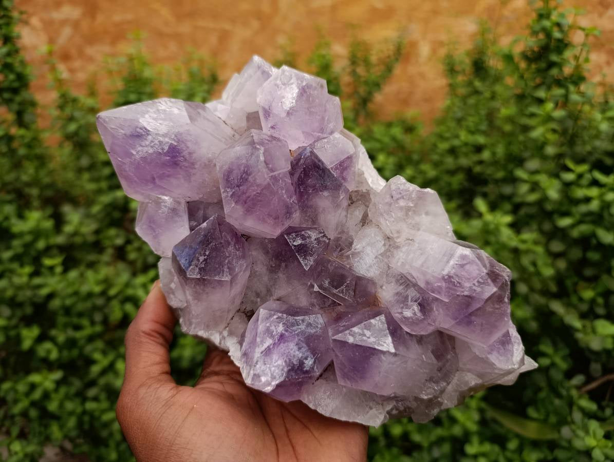 Natural Jacaranda Amethyst Quartz Crystal x 1 From Mumbwa, Zambia - Toprock Gemstones and Minerals 