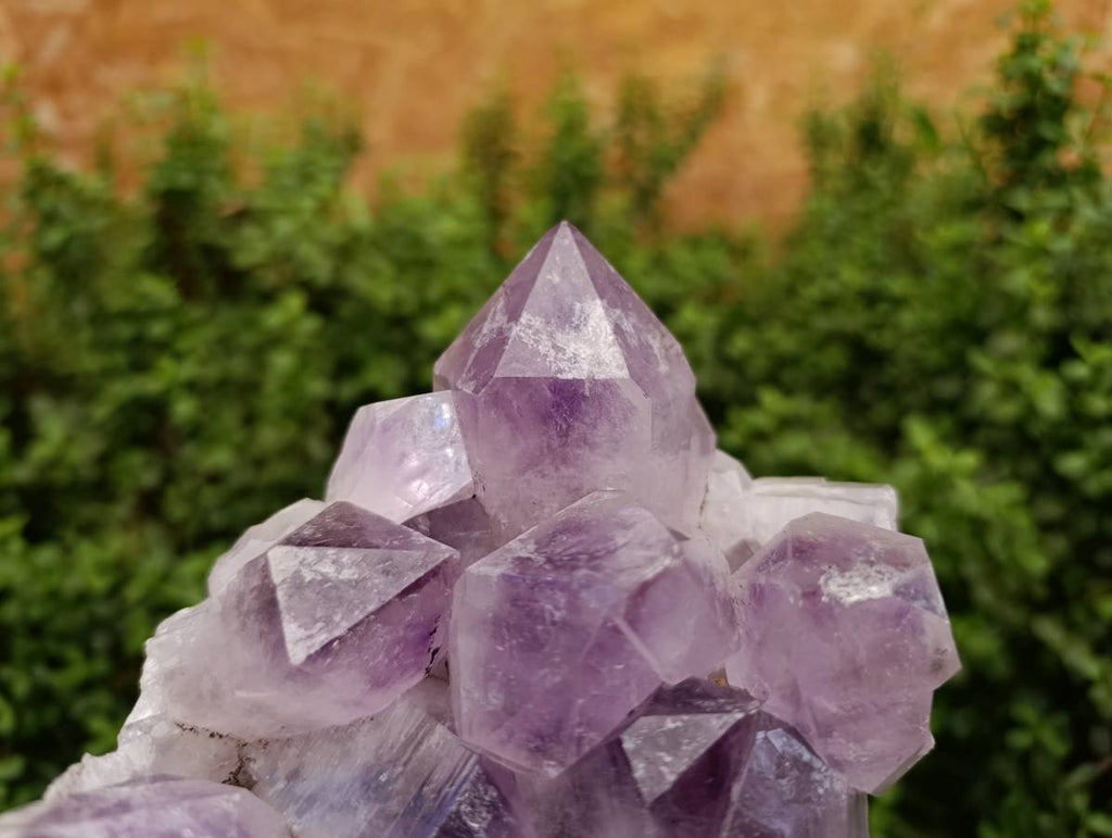 Natural Jacaranda Amethyst Quartz Crystal x 1 From Mumbwa, Zambia - Toprock Gemstones and Minerals 