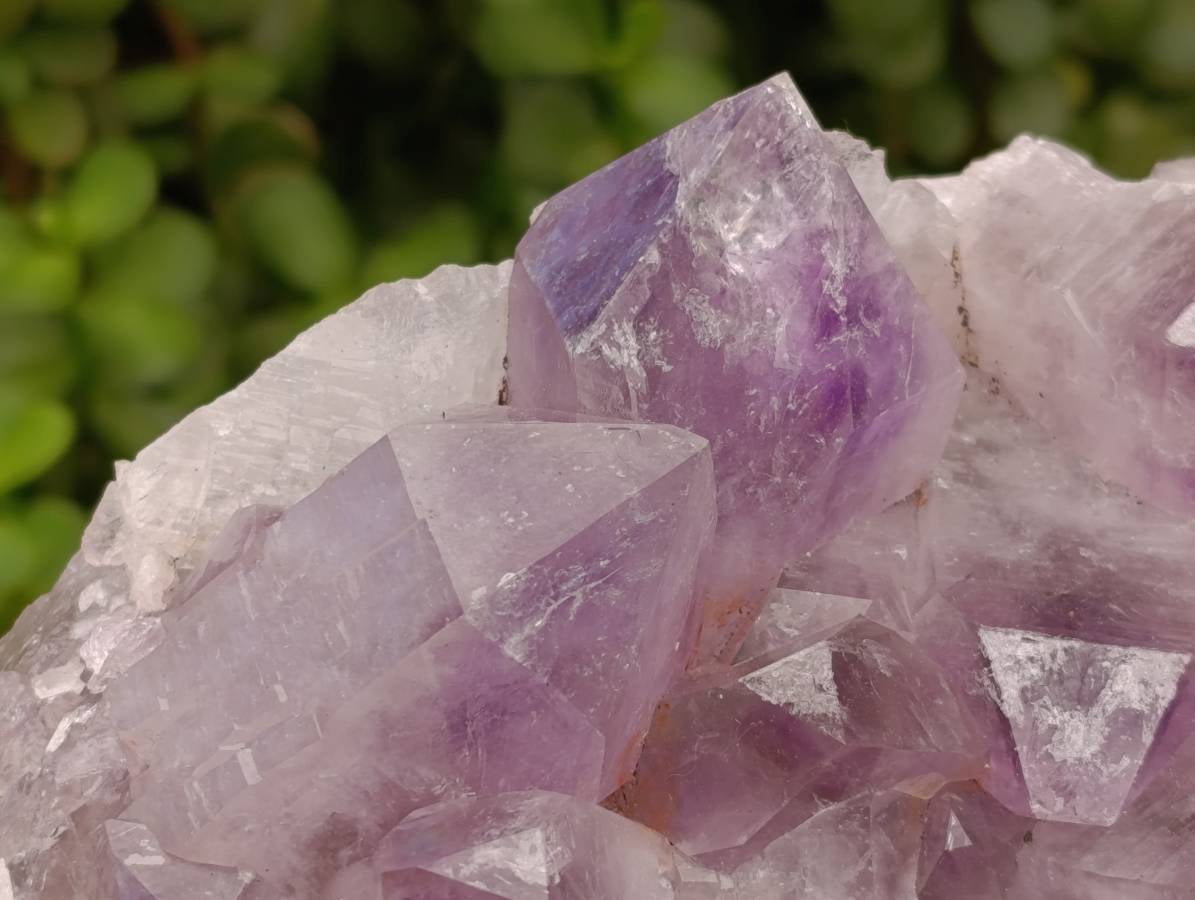 Natural Jacaranda Amethyst Quartz Crystal x 1 From Mumbwa, Zambia - Toprock Gemstones and Minerals 
