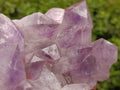 Natural Jacaranda Amethyst Quartz Crystal x 1 From Mumbwa, Zambia - Toprock Gemstones and Minerals 