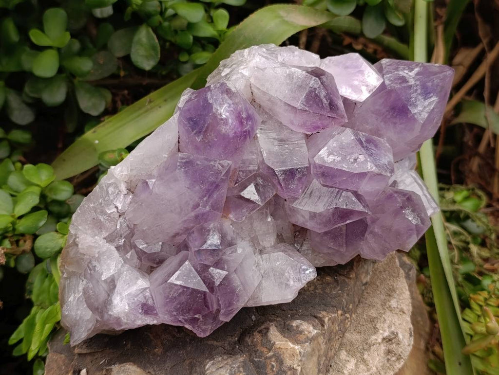 Natural Jacaranda Amethyst Quartz Crystal x 1 From Mumbwa, Zambia - Toprock Gemstones and Minerals 