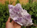 Natural Jacaranda Amethyst Quartz Crystal x 1 From Mumbwa, Zambia - Toprock Gemstones and Minerals 