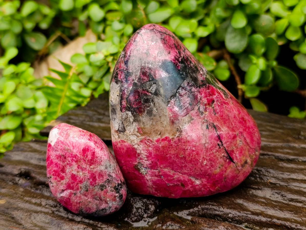 Polished Rhodonite Standing Free Forms x 4 From Rhusinga, Zimbabwe - Toprock Gemstones and Minerals 