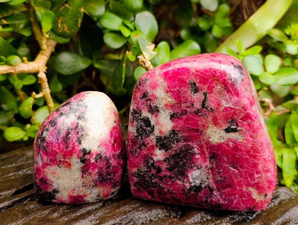 Polished Rhodonite Standing Free Forms x 4 From Rhusinga, Zimbabwe - Toprock Gemstones and Minerals 