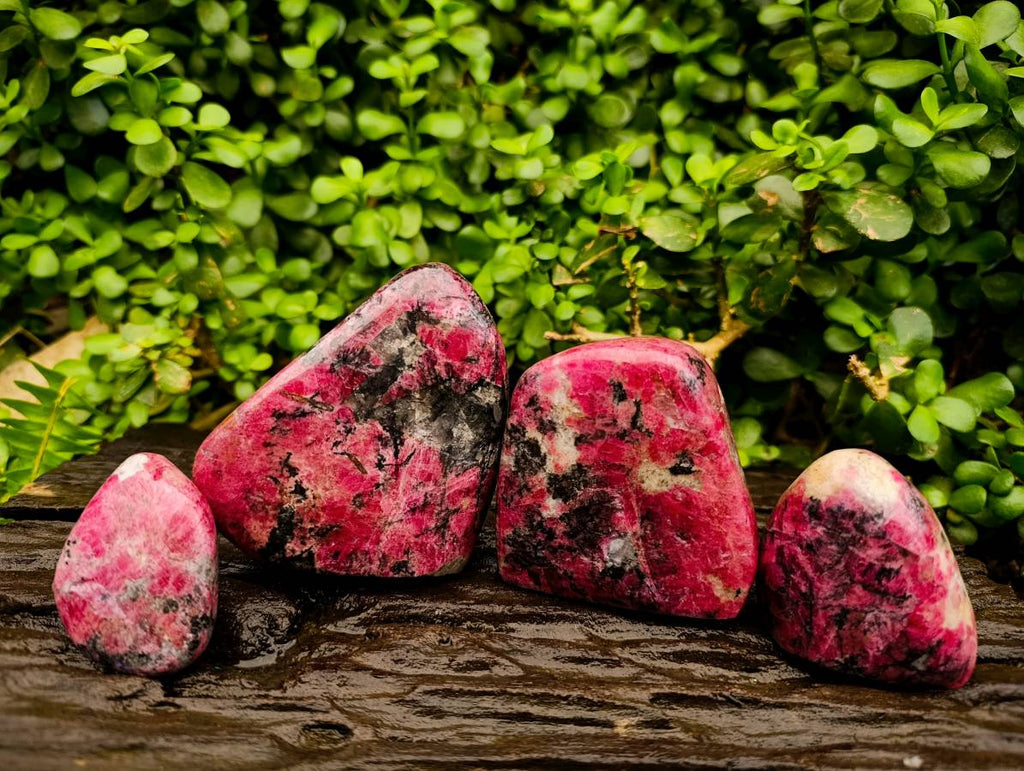 Polished Rhodonite Standing Free Forms x 4 From Rhusinga, Zimbabwe - Toprock Gemstones and Minerals 