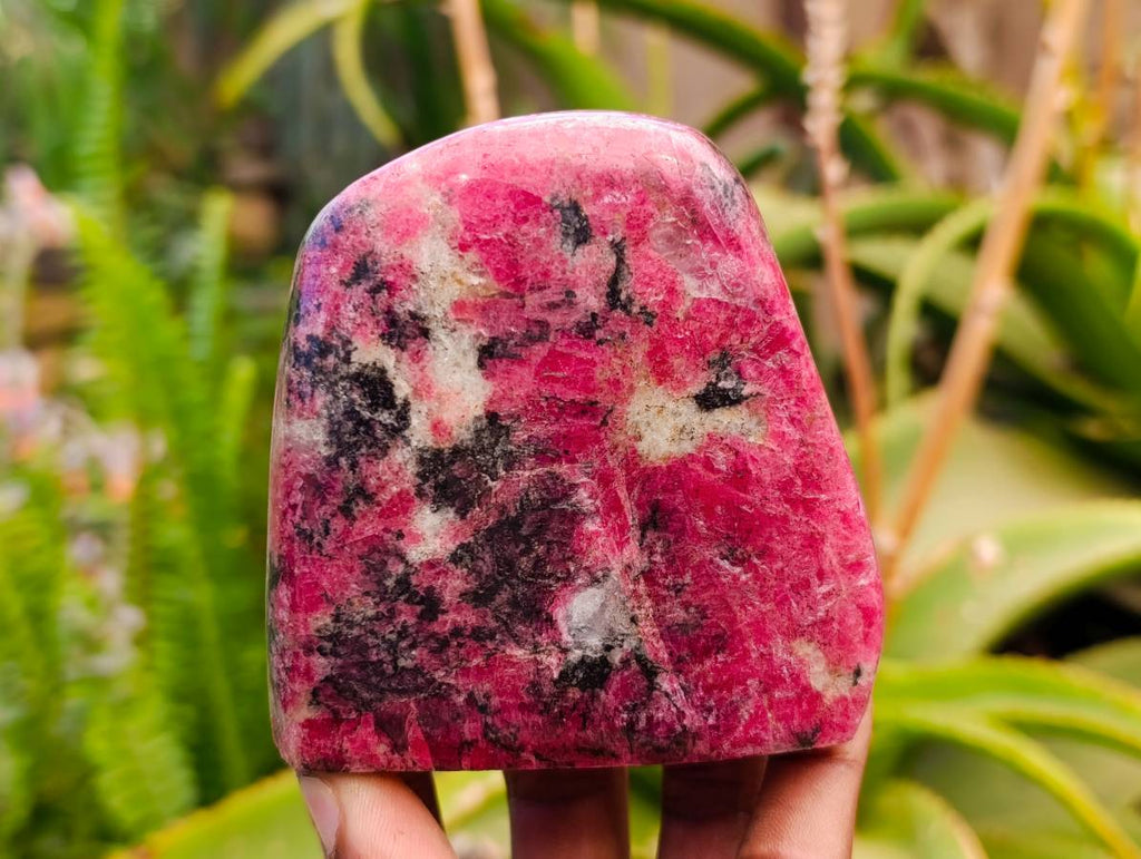 Polished Rhodonite Standing Free Forms x 4 From Rhusinga, Zimbabwe - Toprock Gemstones and Minerals 