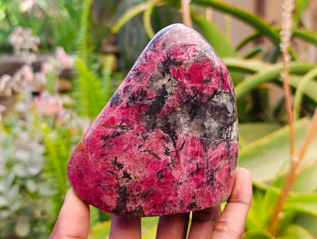 Polished Rhodonite Standing Free Forms x 4 From Rhusinga, Zimbabwe - Toprock Gemstones and Minerals 