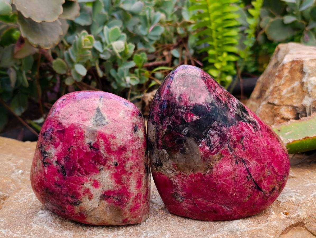Polished Rhodonite Standing Free Forms x 4 From Rhusinga, Zimbabwe - Toprock Gemstones and Minerals 