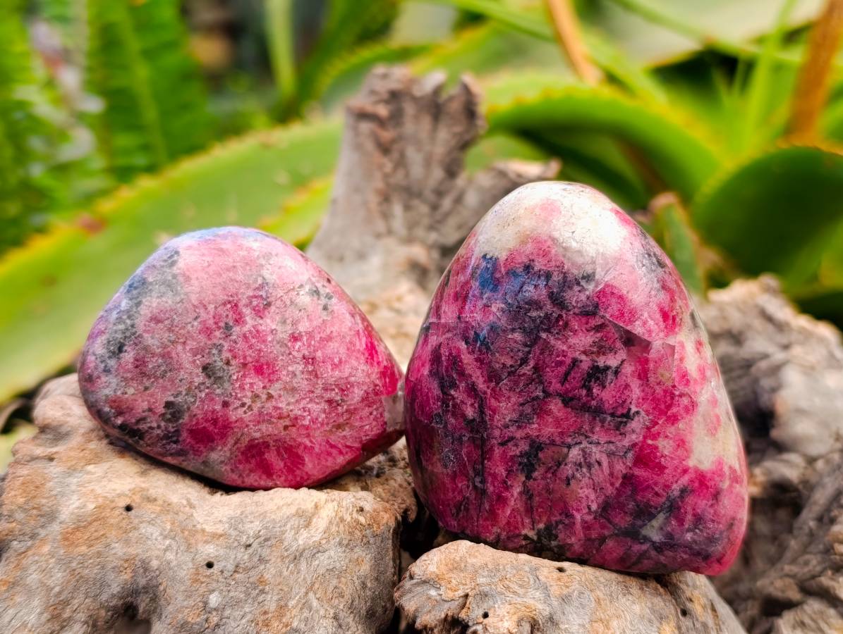 Polished Rhodonite Standing Free Forms x 4 From Rhusinga, Zimbabwe - Toprock Gemstones and Minerals 
