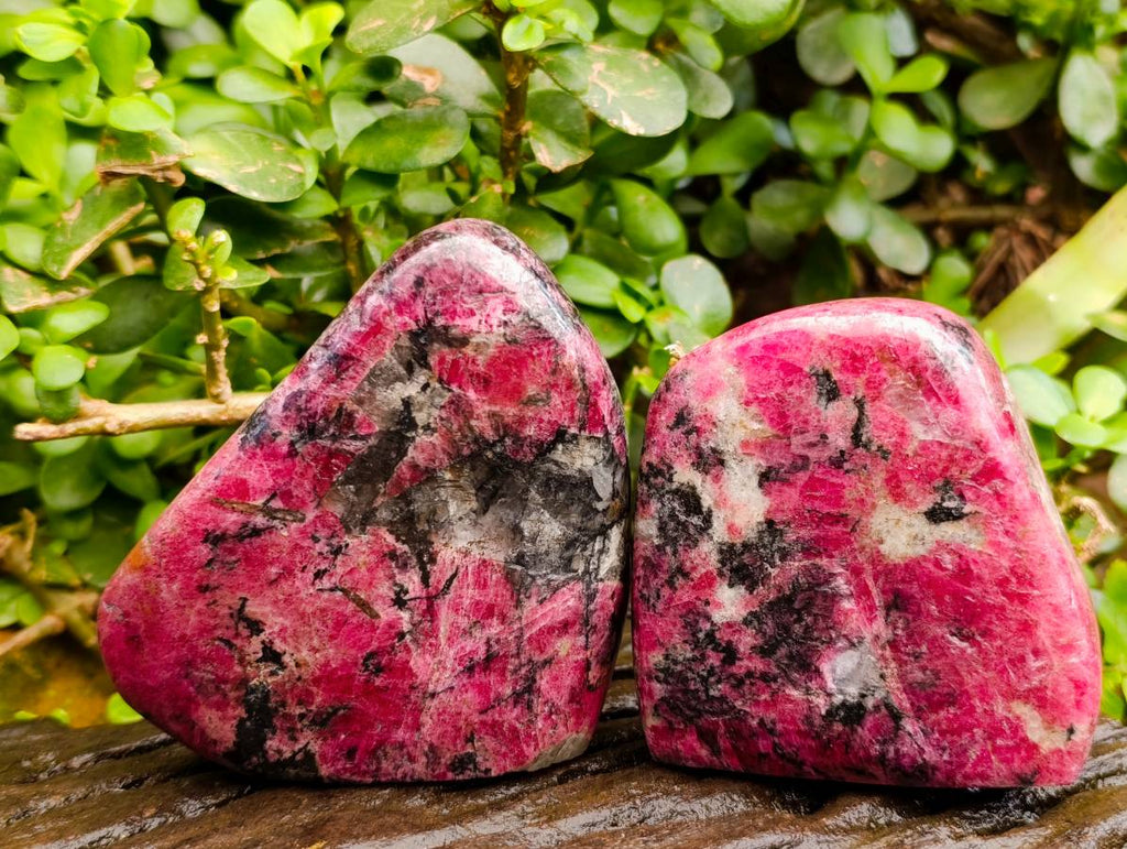 Polished Rhodonite Standing Free Forms x 4 From Rhusinga, Zimbabwe - Toprock Gemstones and Minerals 