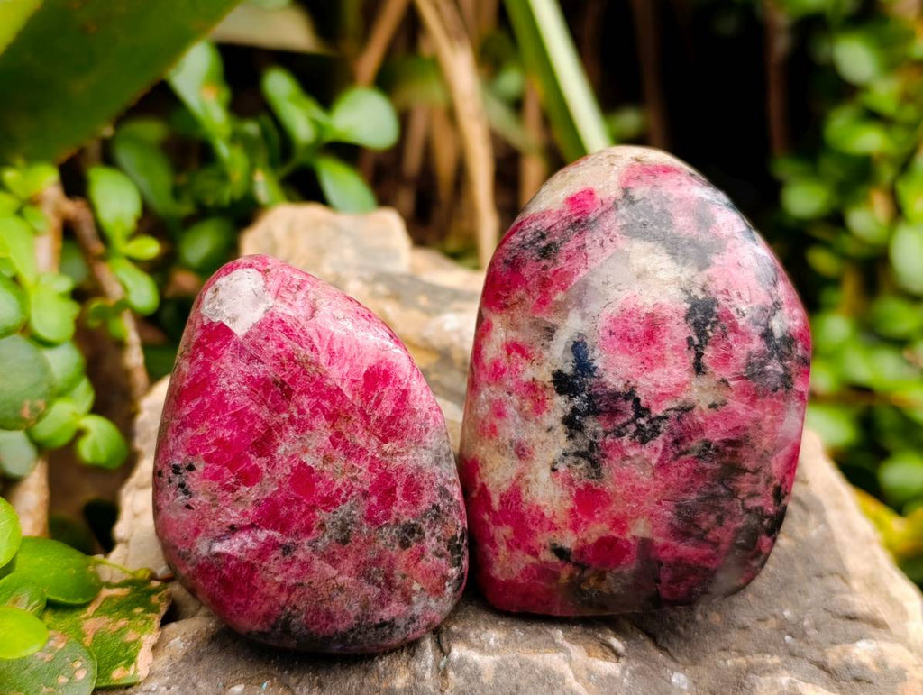 Polished Rhodonite Standing Free Forms x 4 From Rhusinga, Zimbabwe - Toprock Gemstones and Minerals 