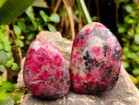 Polished Rhodonite Standing Free Forms x 4 From Rhusinga, Zimbabwe - Toprock Gemstones and Minerals 