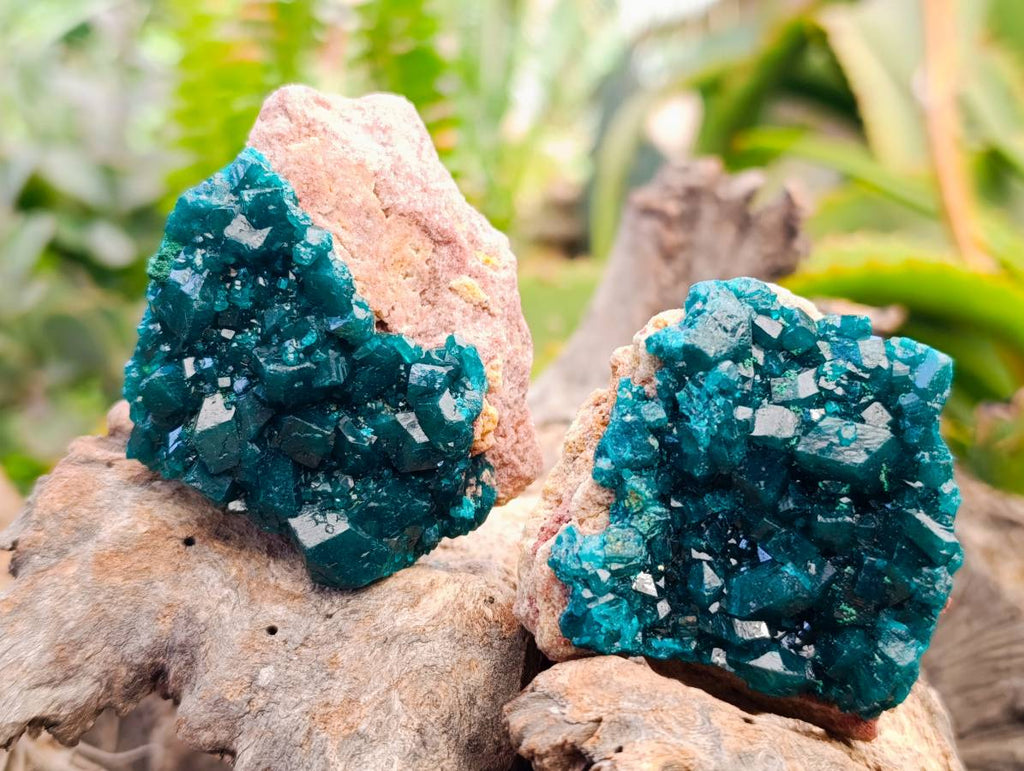 Natural Dioptase On Dolomite Specimens x 6 From Likasi, Congo - Toprock Gemstones and Minerals 