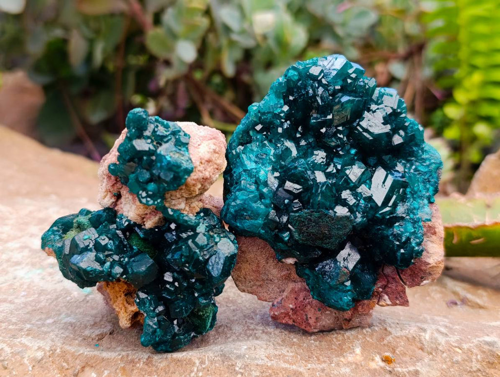 Natural Dioptase On Dolomite Specimens x 6 From Likasi, Congo - Toprock Gemstones and Minerals 
