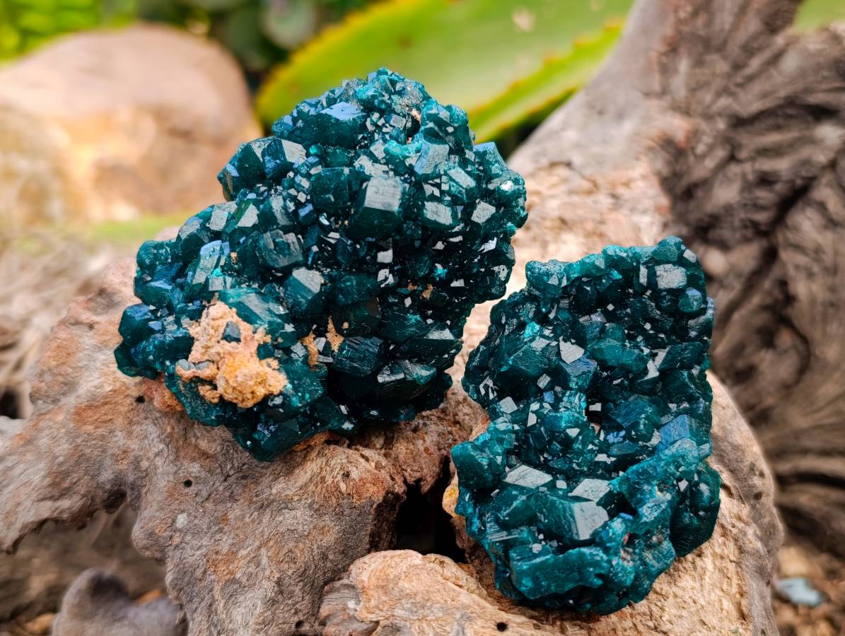 Natural Dioptase On Dolomite Specimens x 6 From Likasi, Congo - Toprock Gemstones and Minerals 
