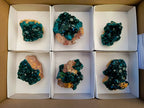 Natural Dioptase On Dolomite Specimens x 6 From Likasi, Congo - Toprock Gemstones and Minerals 