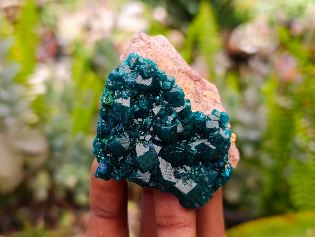 Natural Dioptase On Dolomite Specimens x 6 From Likasi, Congo - Toprock Gemstones and Minerals 