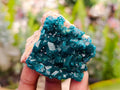 Natural Dioptase On Dolomite Specimens x 6 From Likasi, Congo - Toprock Gemstones and Minerals 
