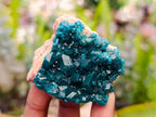 Natural Dioptase On Dolomite Specimens x 6 From Likasi, Congo - Toprock Gemstones and Minerals 
