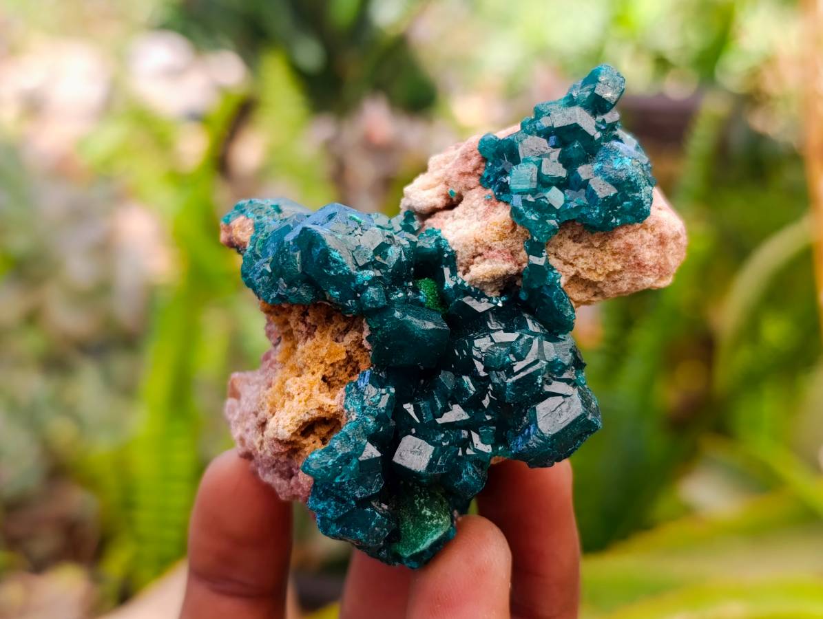 Natural Dioptase On Dolomite Specimens x 6 From Likasi, Congo - Toprock Gemstones and Minerals 
