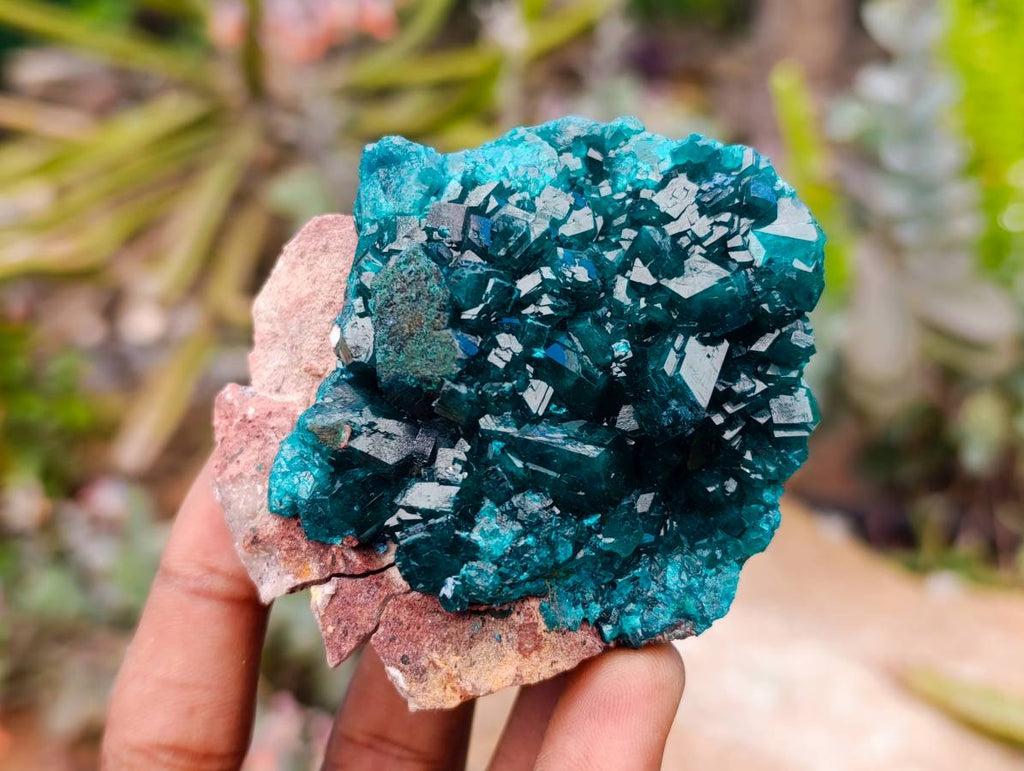 Natural Dioptase On Dolomite Specimens x 6 From Likasi, Congo - Toprock Gemstones and Minerals 